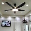 Quạt trần đèn trang trí đẹp GMG565 3