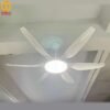 Quạt trần đèn cánh dài 56A118W 2