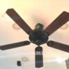 Quạt trần trang trí đẹp 52P800B 2