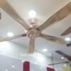 Quạt trần trang trí đẹp 56I603Y 3