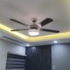 Quạt trần đèn trang trí 52P506B 2
