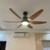 Quạt trần đèn cánh dài 56A902 3