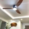 Quạt trần đèn trang trí đẹp GMG561 3