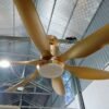 Quạt trần đèn cánh dài 56A902Y 4