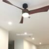 Quạt trần đèn trang trí đẹp GMG567 5