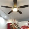 Quạt trần đèn trang trí đẹp GMG840 6