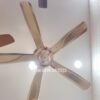 Quạt trần trang trí đẹp 56I603Y 4