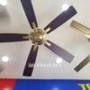 Quạt trần trang trí đẹp 52P802 3