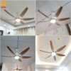 Quạt trần đèn cánh dài 56A902B 2
