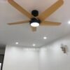 Quạt trần đèn trang trí đẹp GMG563 3