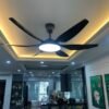 Quạt trần đèn cánh dài 56A118B 2