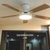 Quạt trần đèn trang trí đẹp GMG700 2