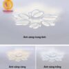 Đèn mâm ốp trần hiện đại 1055-5 5