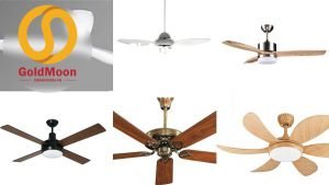 Cách phân loại quạt trần đèn ưa chuộng hiện nay Cach phan loai quat tran den ua chuong hien nay 1