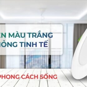 Đơn Sắc