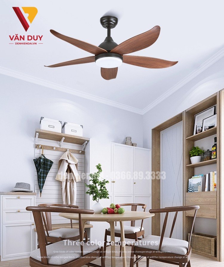 Lắp đặt quạt liền đ&egrave;n cho ph&ograve;ng kh&aacute;ch - N&ecirc;n hay kh&ocirc;ng n&ecirc;n?