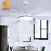 Quạt trần đèn 6 cánh 52911 2