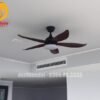 Quạt trần đèn hiện đại 58918B Quat tran den hien dai chung cu tan co dien 146