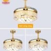 Quạt trần đèn thu cánh 42206 9