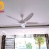 Quạt trần đèn cánh dài 62912W 4