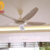 Quạt trần đèn cánh dài 62912W 5