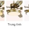 Quạt trần đèn trang trí 52506R 8