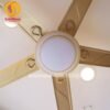 Quạt trần đèn trang trí 52506Y 5
