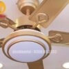 Quạt trần đèn trang trí 52506Y 6