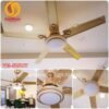 Quạt trần đèn trang trí 52506Y 10
