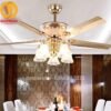 Quạt trần đèn sang trọng 52588 4