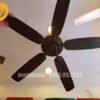 Quạt trần 5 cánh gỗ 52800 8