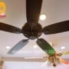Quạt trần 5 cánh gỗ 52800 9
