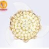 Quạt trần đèn thu cánh 52501 5