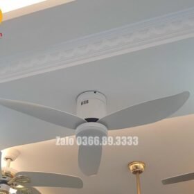 Quạt trần đèn trang trí đẹp 48A300W-CD 2
