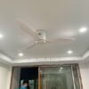 Quạt trần trang trí đẹp 48A301W-KD 2