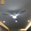 Quạt trần đèn trang trí đẹp 52A301W-CD 2