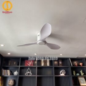 Quạt trần trang trí đẹp 52A301W-KD 2
