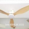 Quạt trần đèn trang trí đẹp 52A301Y-CD 2