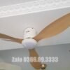 Quạt trần đèn trang trí đẹp 52A301Y-CD 3