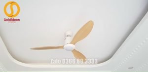 Quạt trần đèn trang trí đẹp 52A301Y-CD 4