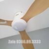 Quạt trần đèn trang trí đẹp 52A301Y-CD 5
