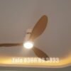 Quạt trần đèn trang trí đẹp 52A301Y-CD 6