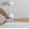 Quạt trần trang trí đẹp 52A301Y-KD 3
