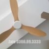 Quạt trần trang trí đẹp 52A301Y-KD 5