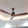 Quạt trần đèn trang trí đẹp 52P304-CD 3