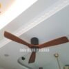 Quạt trần trang trí đẹp 52P304-KD 2