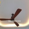 Quạt trần trang trí đẹp 52P304-KD 3
